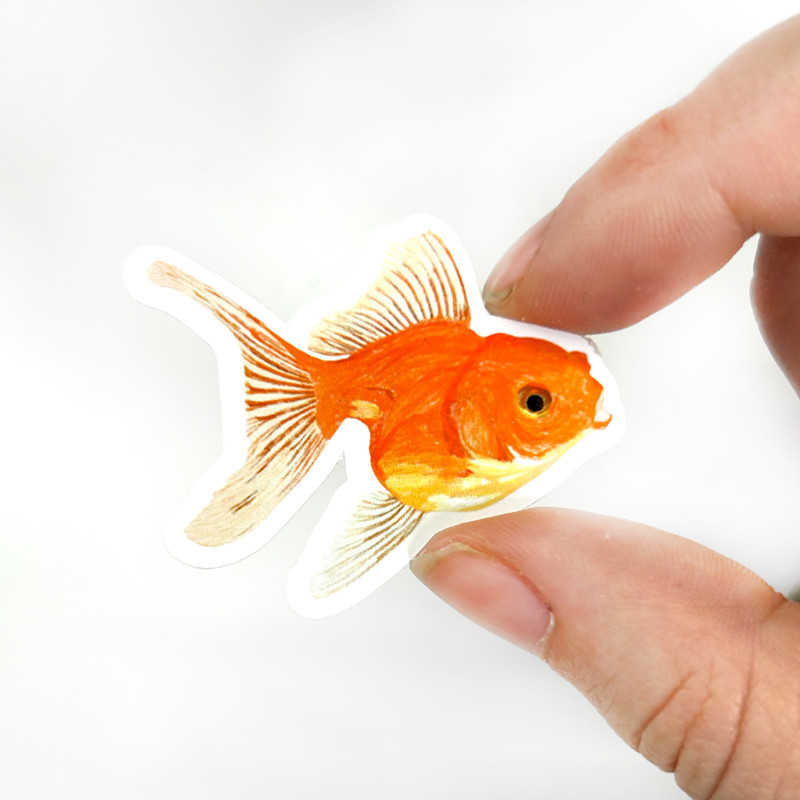 goldfish friend sticker